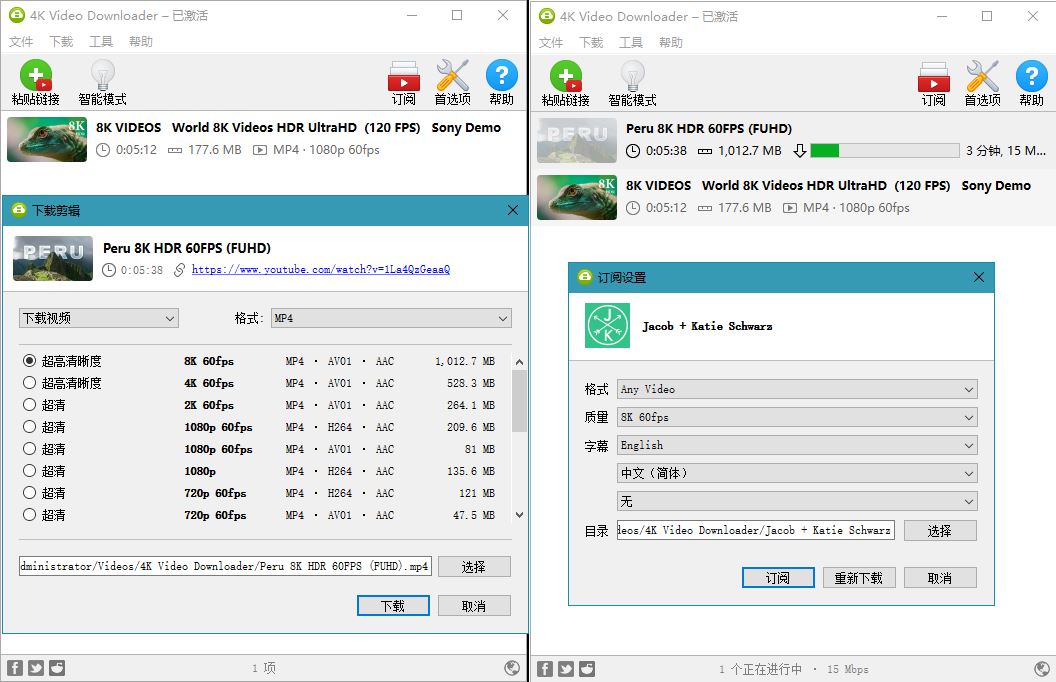 4K Video Downloader_v4.30.0.5651破解版