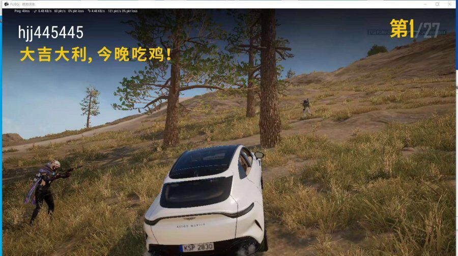 PUBG绝地求生·方框绘制自瞄免费辅助 v10.29